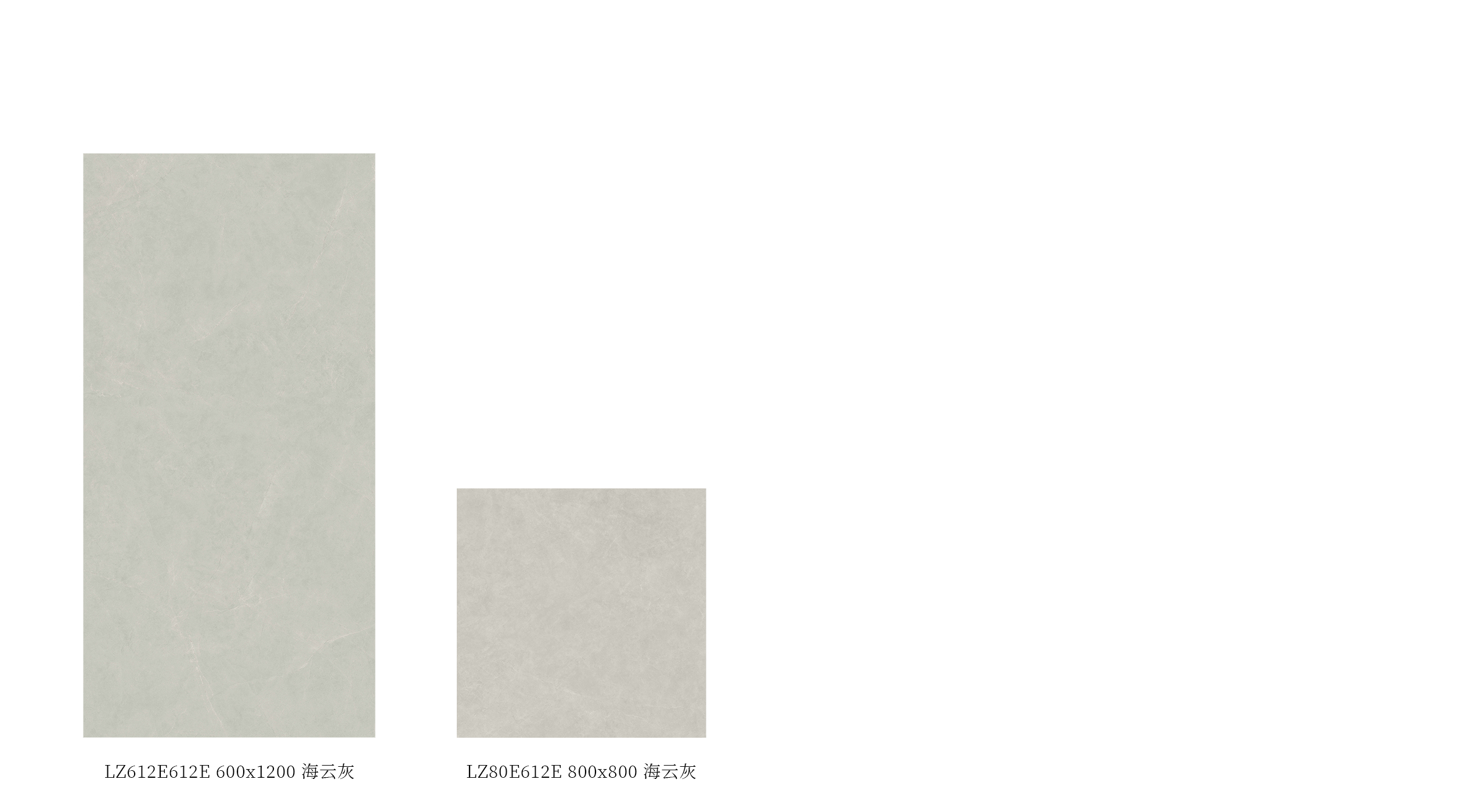 LZ612E612E、LZ80E612E