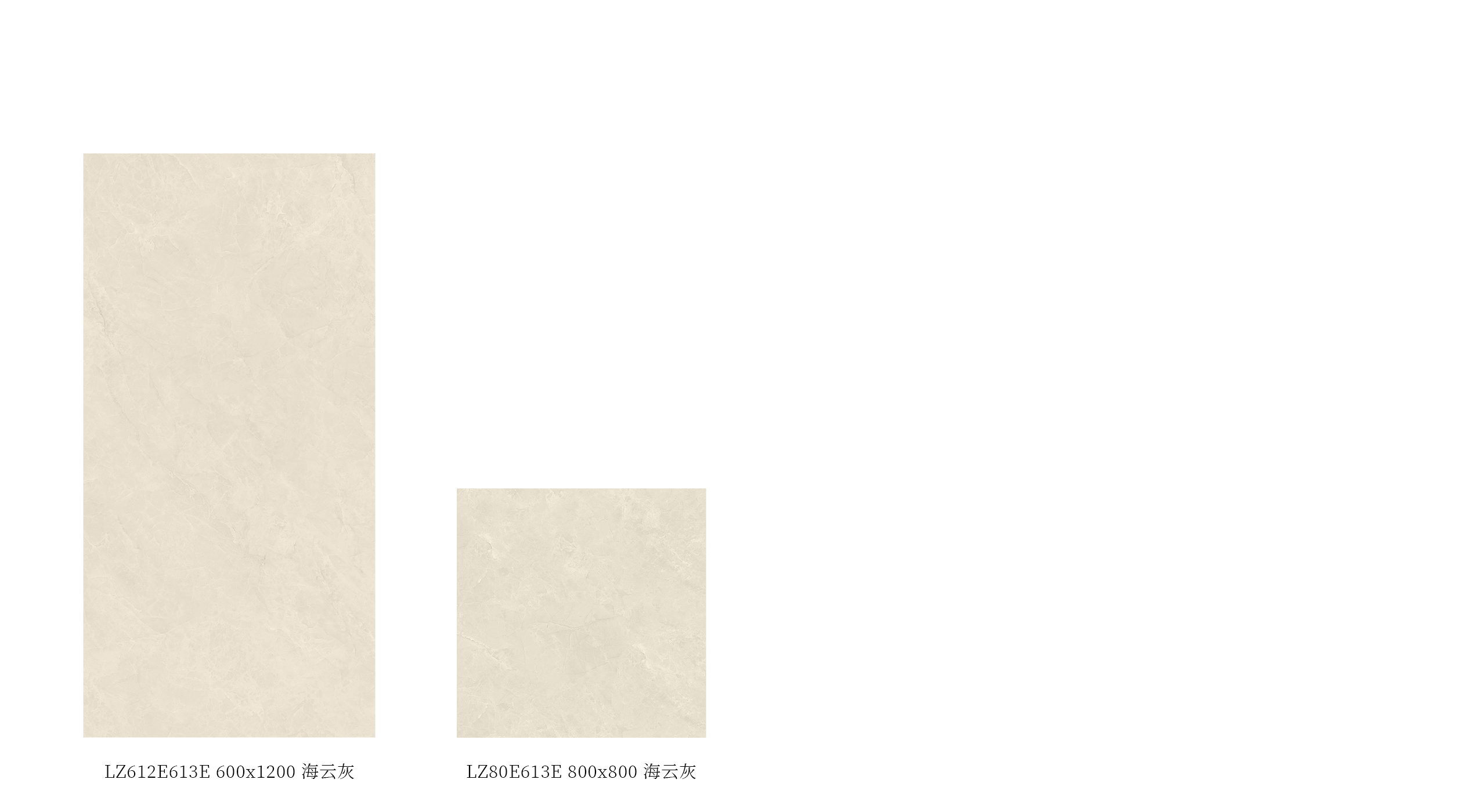 LZ612E613E、LZ80E613E